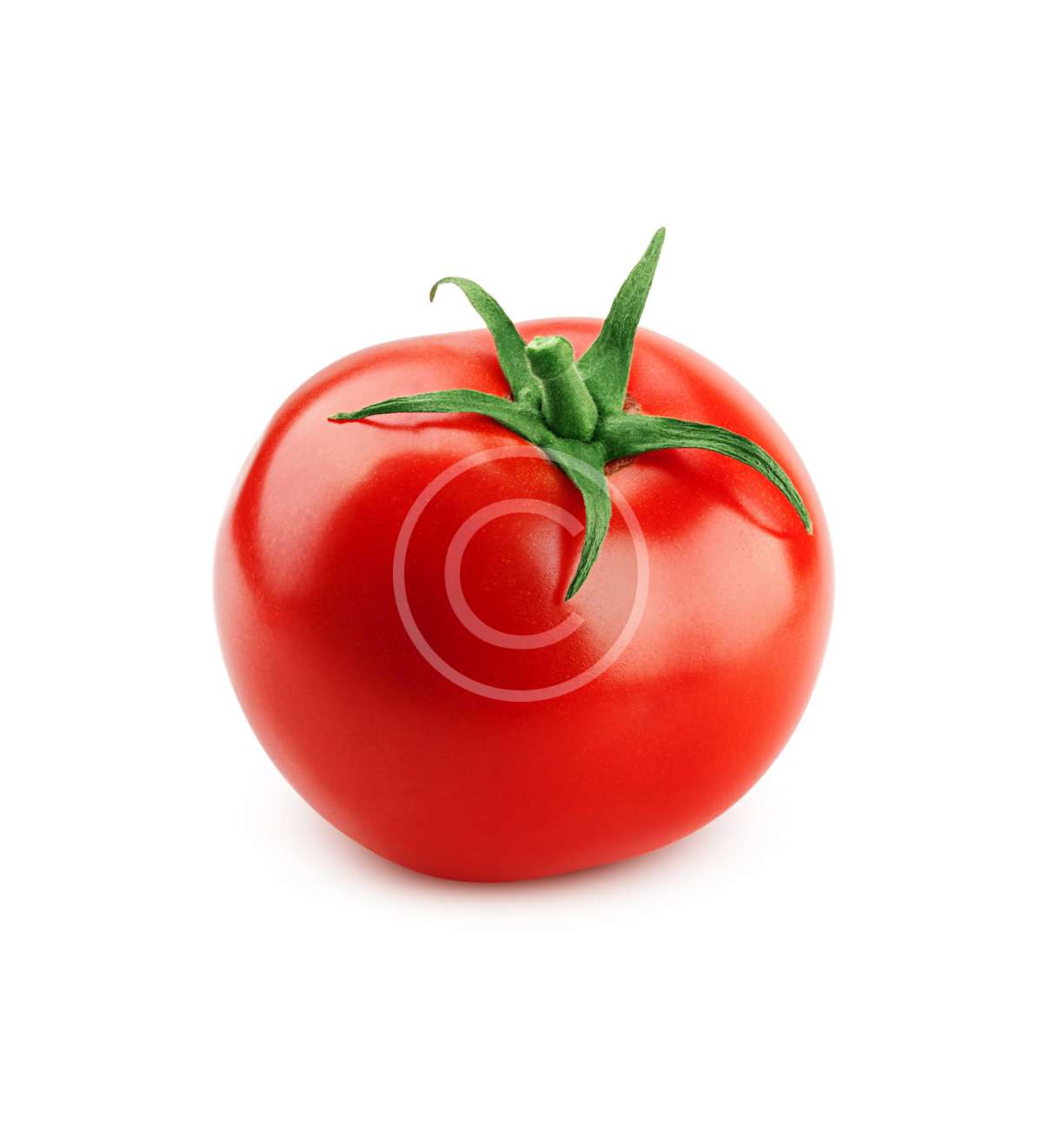 product-image22-copyright