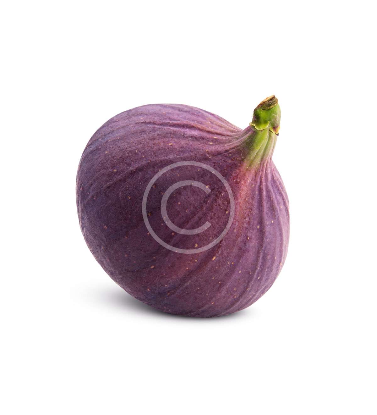 product-image31-copyright.jpg