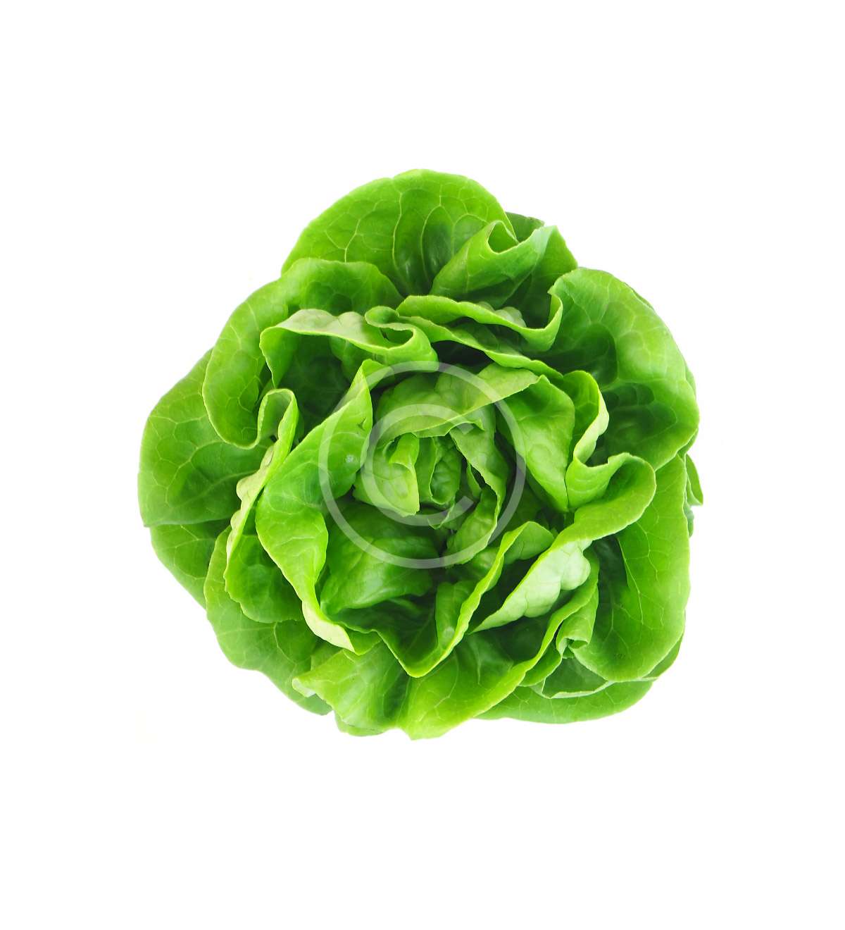 product-image4-copyright
